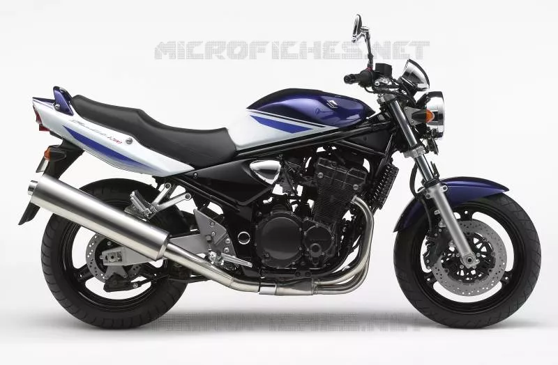 * PHOTOGRAPHIE DE COULEUR GSF1200ZK5 * Suzuki MOTO 1200 BANDIT 2001  GSF1200SK1(E2)