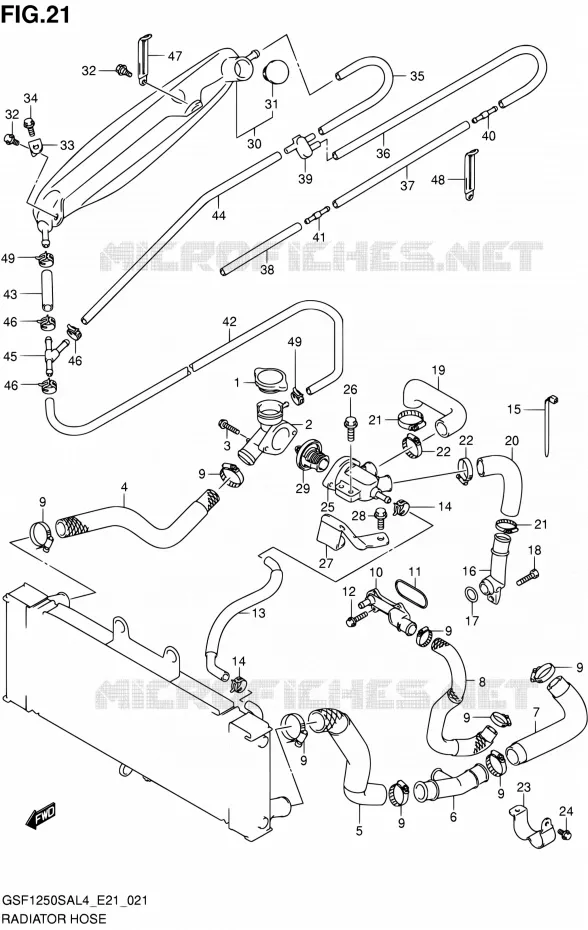 DURITE DE RADIATEUR Suzuki MOTO 1250 BANDIT 2016  GSF1250SA L4 (E21)