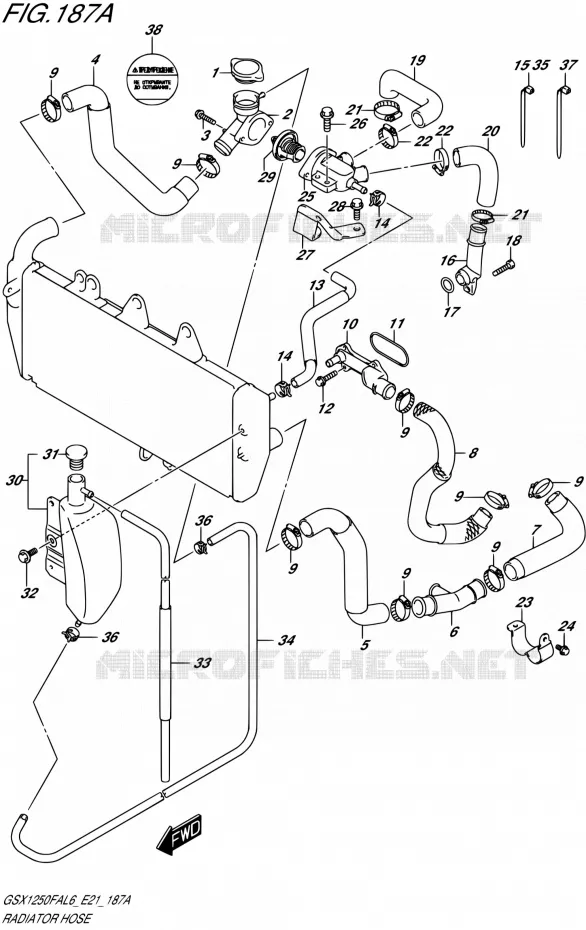 DURITE DE RADIATEUR Suzuki MOTO 1250 GSX-F 2016  GSX1250FA L6 (E21)