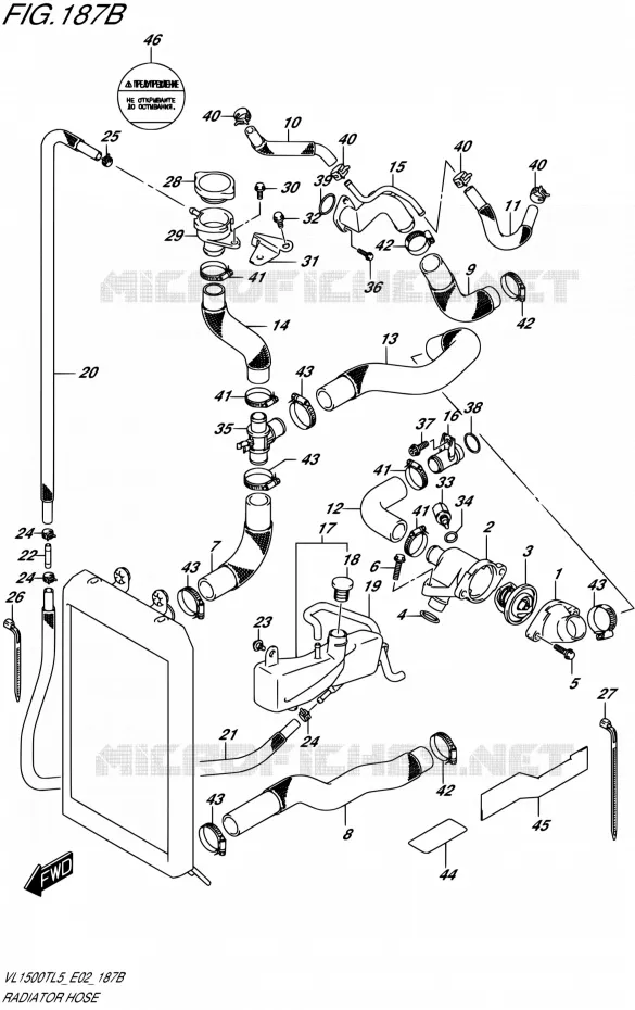DURITE DE RADIATEUR (VL1500TL5 E19) Suzuki MOTO 1500 BOULEVARD 2015  VL1500T L5 (E19)