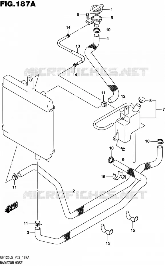 DURITE DE RADIATEUR Suzuki SCOOTER 125 BURGMAN 2015  UH125 L5 (P19)