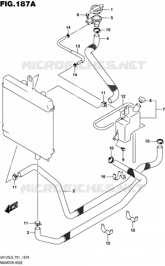 DURITE DE RADIATEUR Suzuki SCOOTER 125 BURGMAN 2016  UH125 L6 (P51)