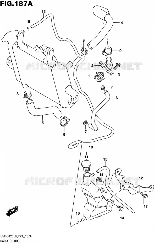 DURITE DE RADIATEUR Suzuki MOTO 125 GSX-S 2018  GSX-S125L8 P21