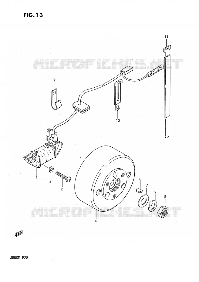 ALLUMAGE ROTOR - STATOR Suzuki MOTO 50 JR 1986  JR50G(P28)