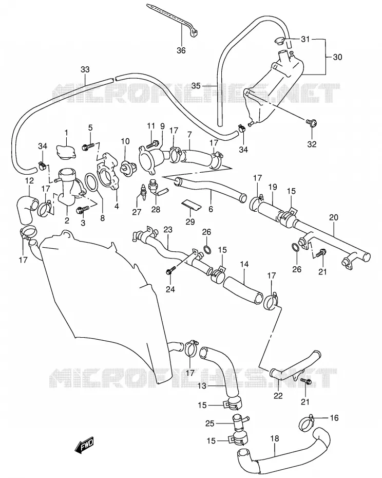 DURITE DE RADIATEUR Suzuki MOTO 900 RF 1996  RF900RT(E2)