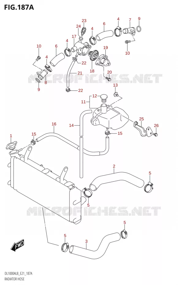 DURITES DE RADIATEUR - VASE D'EXPANSION Suzuki MOTO 1000 V-STROM 2018  DL1000AL8 E21