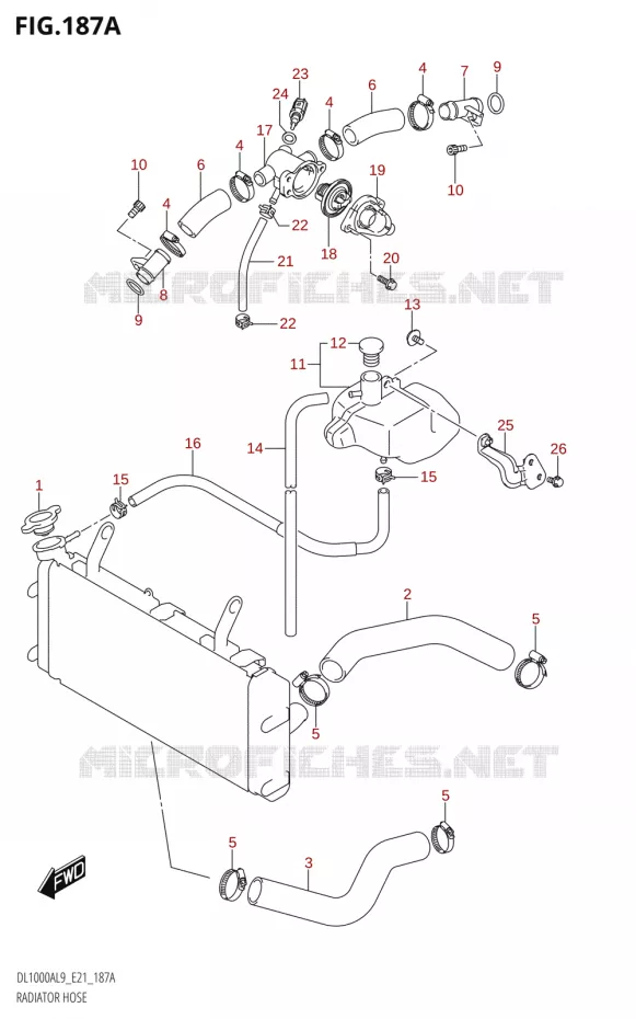 DURITES DE RADIATEUR - VASE D'EXPANSION Suzuki MOTO 1000 V-STROM 2019  DL1000XA L9 (E21)