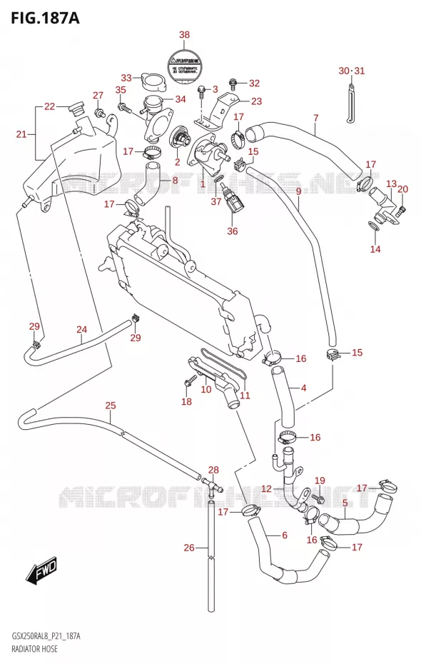 DURITES DE RADIATEUR - VASE D'EXPANSION Suzuki MOTO 250 INAZUMA 2018  GW250RA L8 (P21)