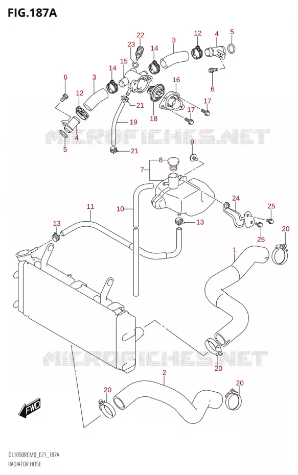 DURITE DE RADIATEUR Suzuki MOTO 1050 V-STROM 2020  DL1050RC M0 (E21)