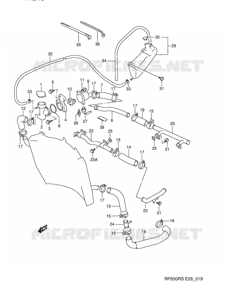 DURITE DE RADIATEUR Suzuki MOTO 600 RF 1994  RF600RR(E28)