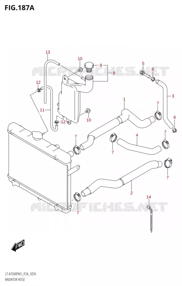 DURITES DE RADIATEUR - VASE D'EXPANSION Suzuki QUAD 750 KINGQUAD 2021  LT-A750XP / XPZ M1 (P24)