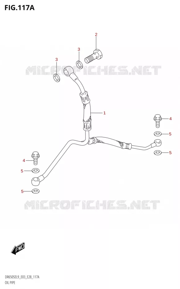 DURITE D'HUILE Suzuki MOTO 650 DR 2019  DR650SE L9 (E03)