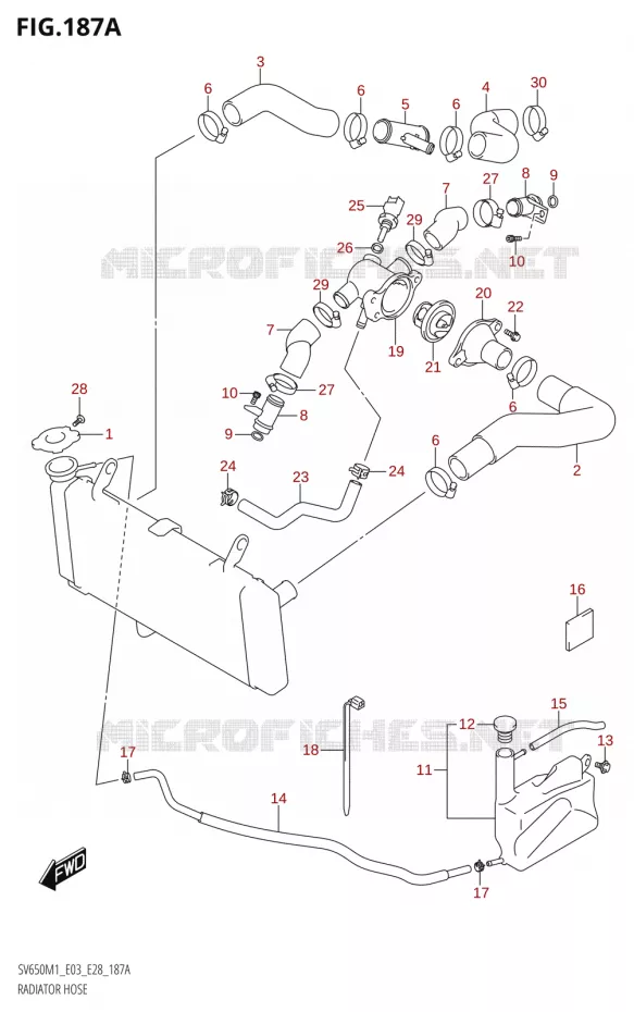 DURITE DE RADIATEUR Suzuki MOTO 650 SV 2021  SV650 M1 (E03,E28,E33)