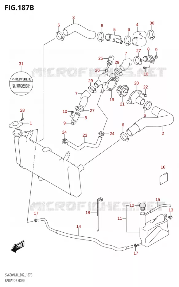 DURITES DE RADIATEUR - VASE D'EXPANSION Suzuki MOTO 650 SV 2021  SV650A M1 (E02)