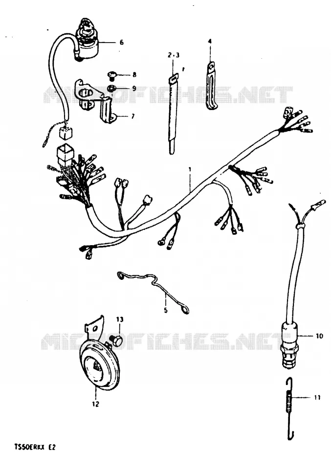 FAISCEAU ELECTRIQUE Suzuki MOTO 50 TS-ER 1981  TS50ERKX(T/X)