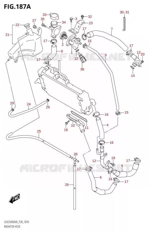 DURITE DE RADIATEUR Suzuki MOTO 250 GSX-R 2020  GSX250RZ M0 E03,E28,E33
