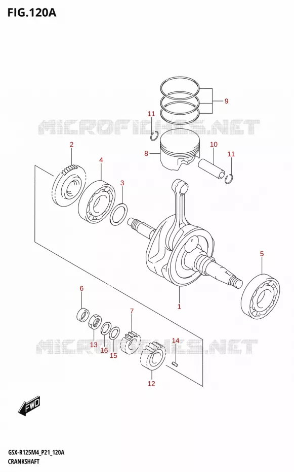 VILEBREQUIN Suzuki MOTO 125 GSX-R 2024  GSX-R125RL 2024 M4 (P21)