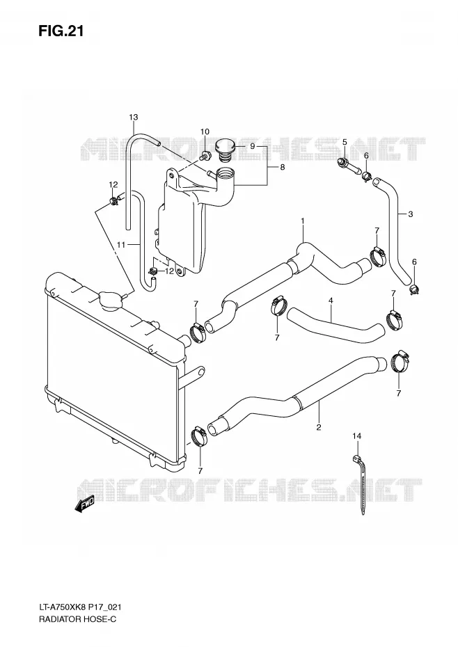 DURITE DE RADIATEUR Suzuki QUAD 750 KINGQUAD 2009  LT-A750XZK9(P17)