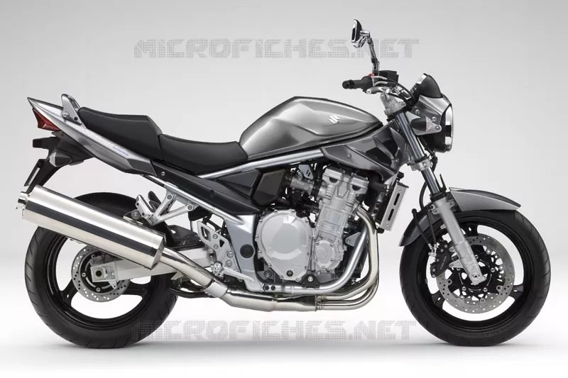 * PHOTOGRAPHIE DE COULEUR GSF1250K9 * Suzuki MOTO 1250 BANDIT-S 2009  GSF1250SAK9(E2)