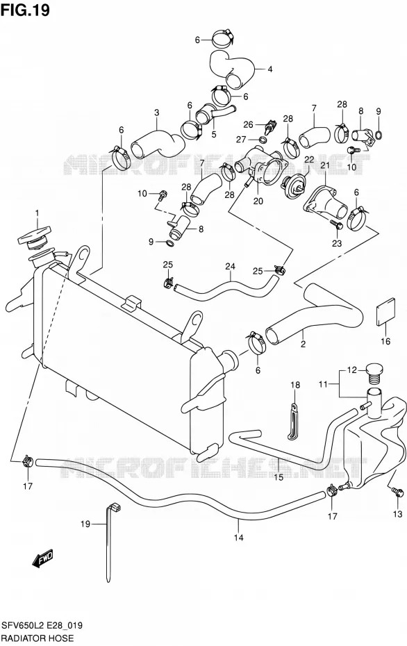 DURITE DE RADIATEUR Suzuki MOTO 650 GLADIUS 2012  SFV650AL2(E03,E28,E33)