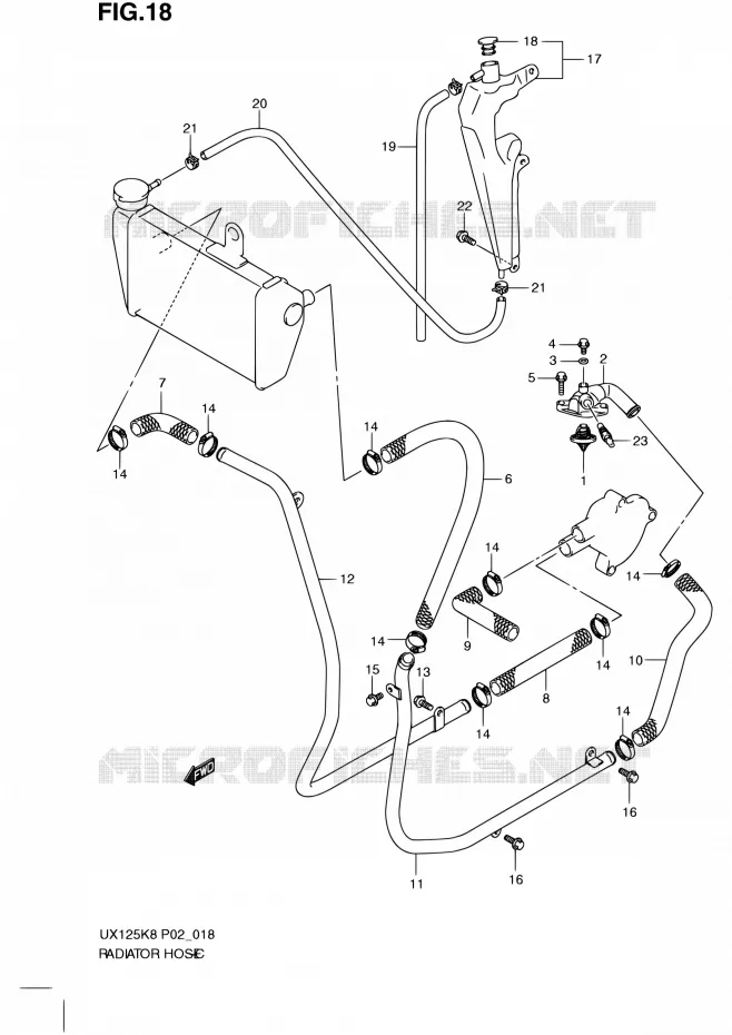 DURITE DE RADIATEUR Suzuki SCOOTER 125 SIXTEEN 2008  UX125K8(P19)