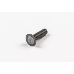 RIVET