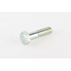 BOLT 12X45