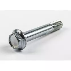 BOLT 10X60