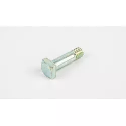 BOLT 10X35.5