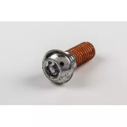 BOLT,8X20