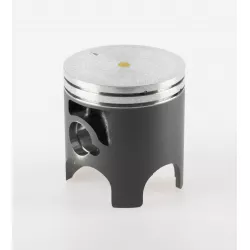 PISTON                       *