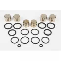 PISTONS ET JOINTS