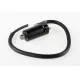 BOBINE<br />COIL ASSY, IGNITION